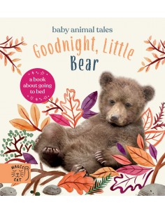 Goodnight, Little Bear