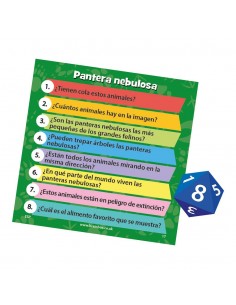 Brainbox Animales 2