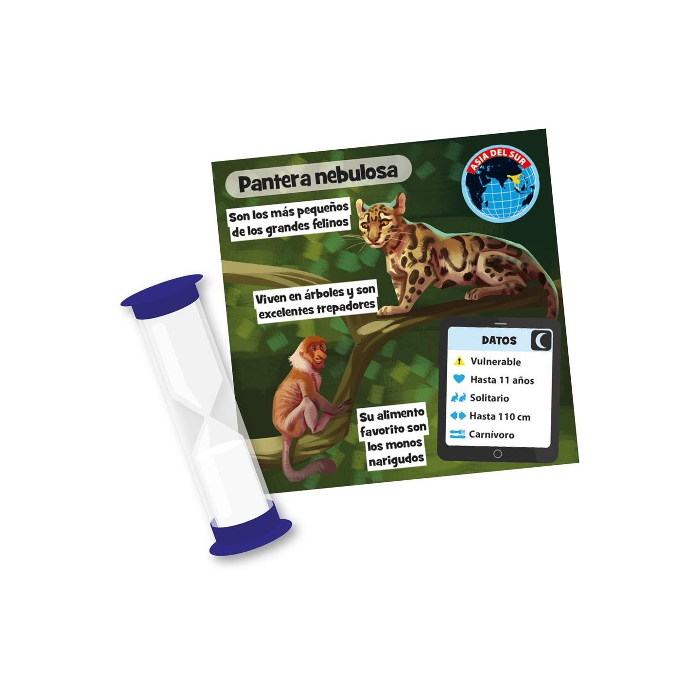 Brainbox Animales