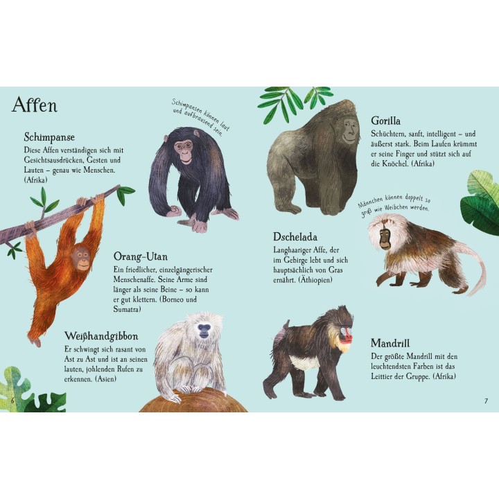 Minis Naturführer: Zootiere