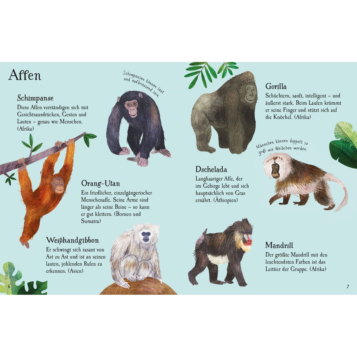 Minis Naturführer: Zootiere