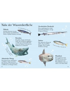 Minis Naturführer: Fische 2
