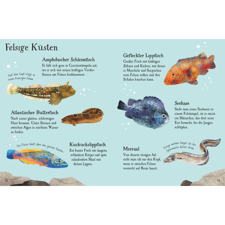 Minis Naturführer: Fische