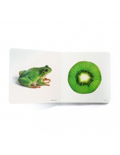 Verde 2