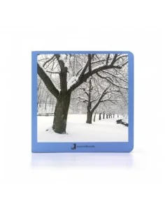 Invierno