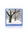 Invierno
