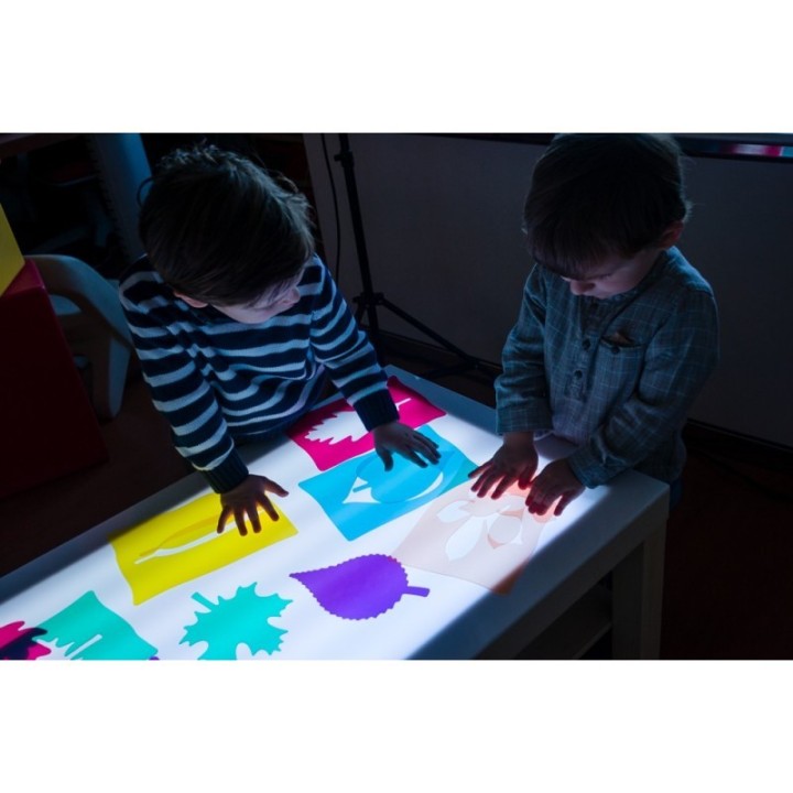 Siluetas de Hojas Montessori