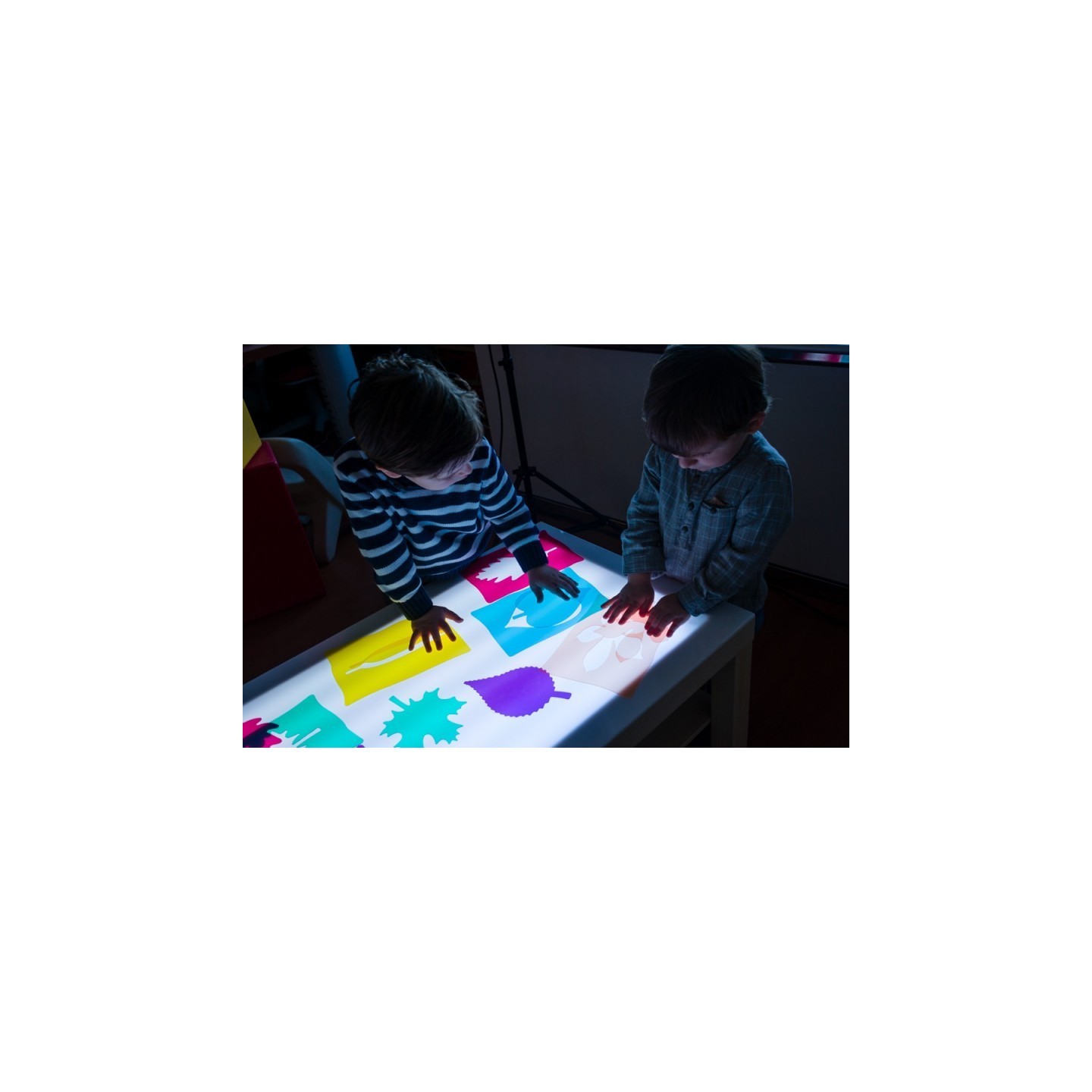Siluetas de Hojas Montessori