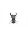 Insecto para montar - Senior Nachos