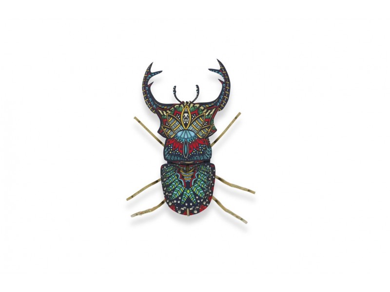 Insecto para montar - Senior Nachos