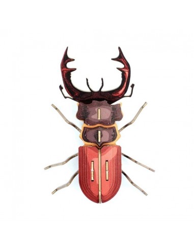 Insecto para montar - Mordicus