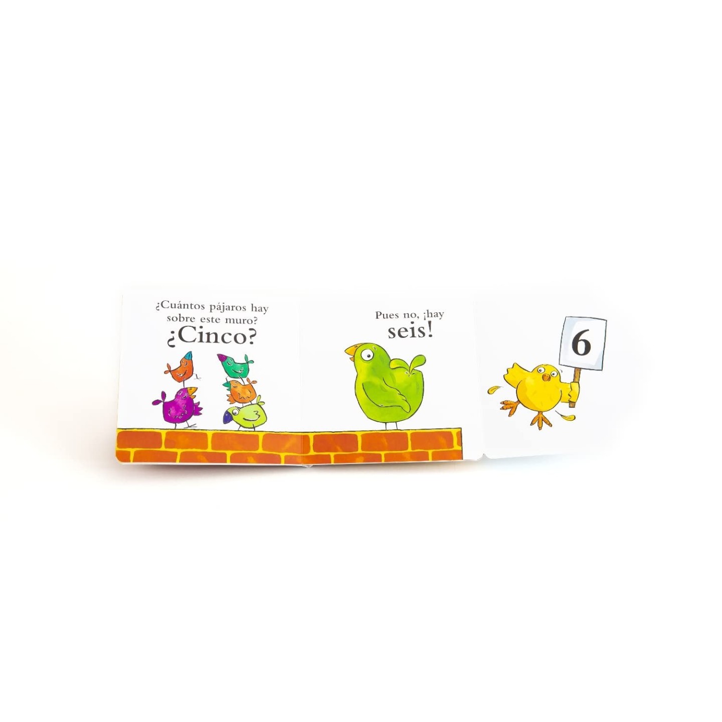 El pollo Pepe y los números