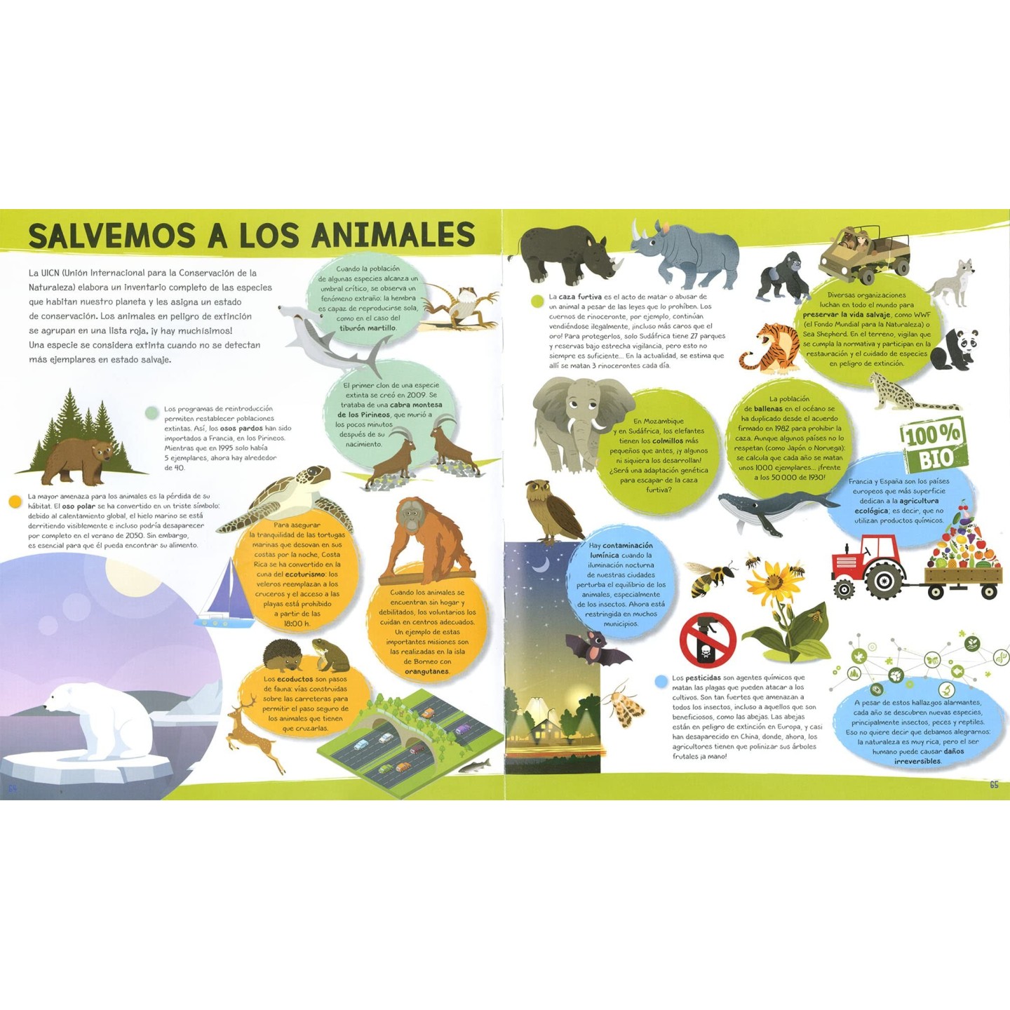 Mi primer Atlas del Mundo
