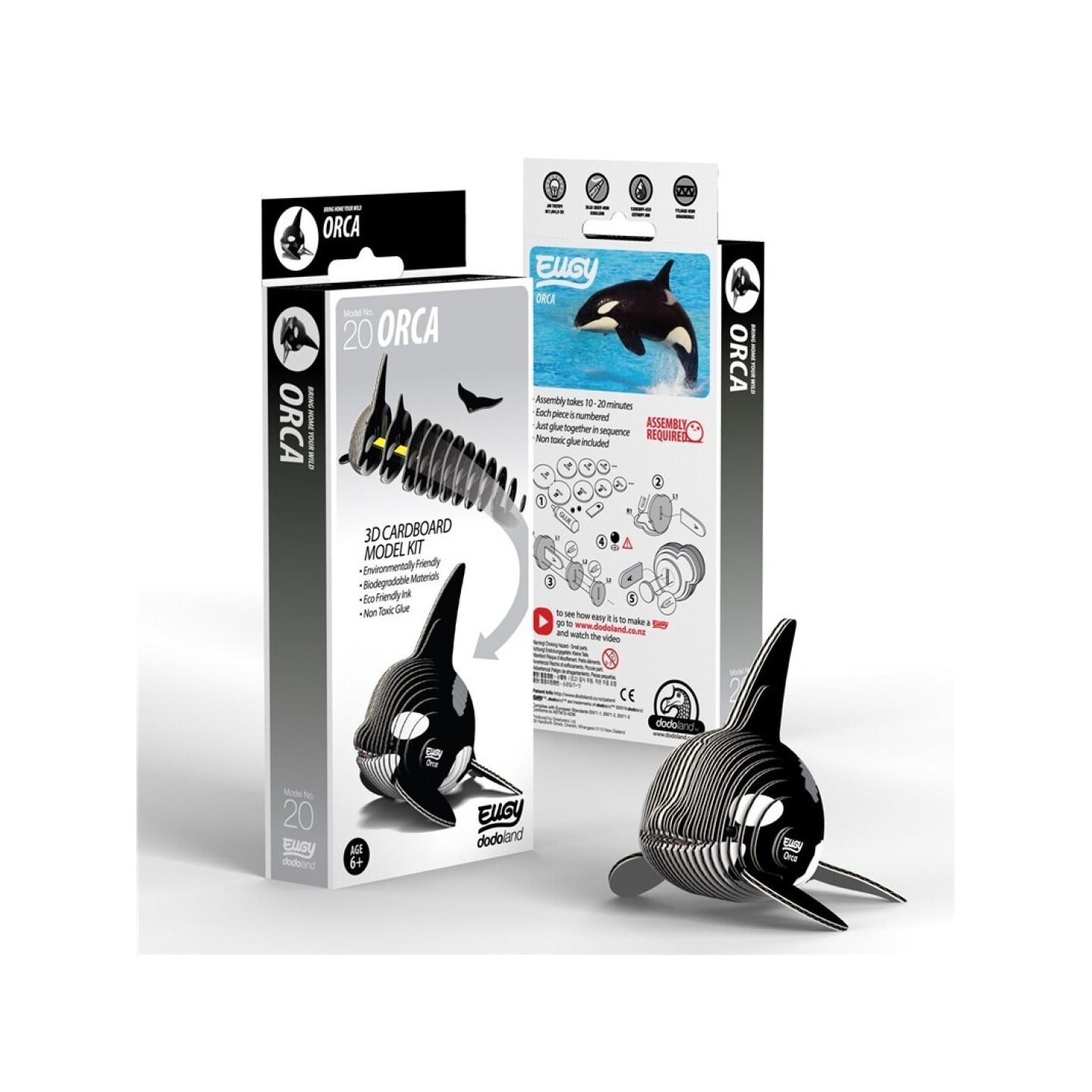 Eugy Orca