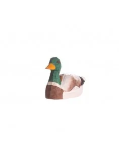 Wudimal Pato