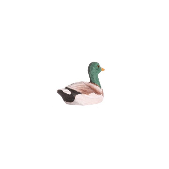 Wudimal Pato