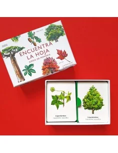 Encuentra La hoja. Juego De Memoria