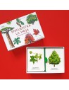 Encuentra La hoja. Juego De Memoria