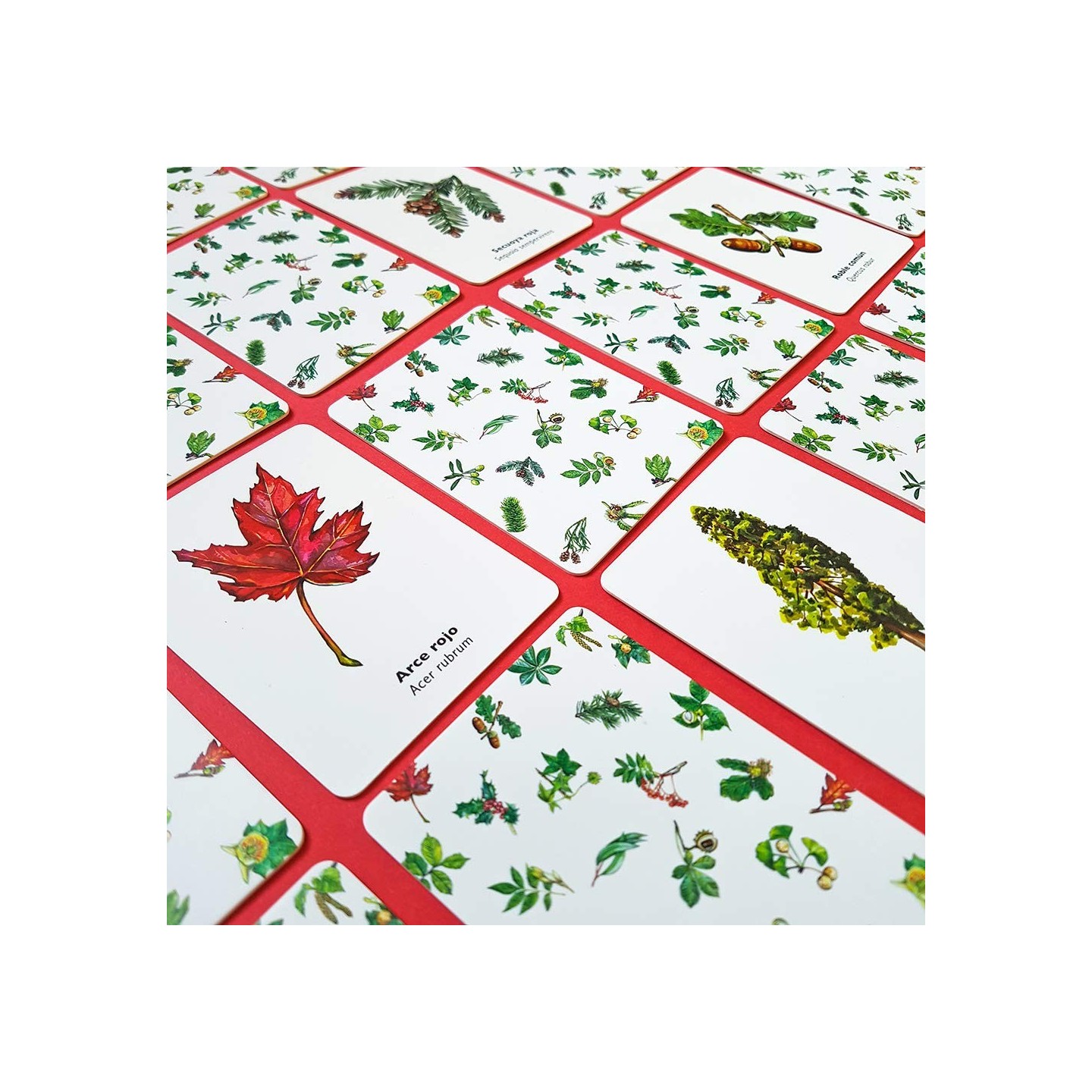 Encuentra La hoja. Juego De Memoria