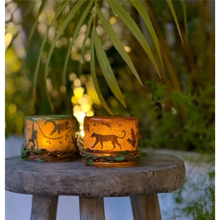 Ser Crea tus Luces Nocturnas Jungla