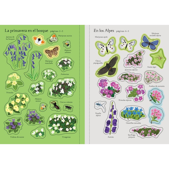 Mi pequeño libro de pegatinas - Flores silvestres