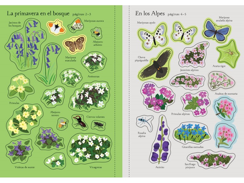 Mi pequeño libro de pegatinas - Flores silvestres