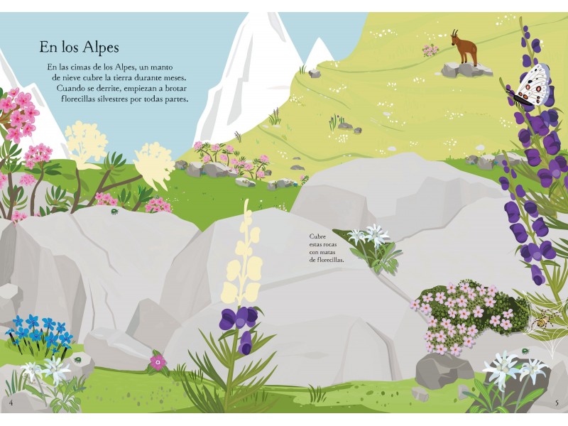 Mi pequeño libro de pegatinas - Flores silvestres