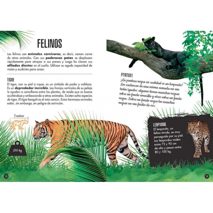 Construye un Elefante 3D + Libro