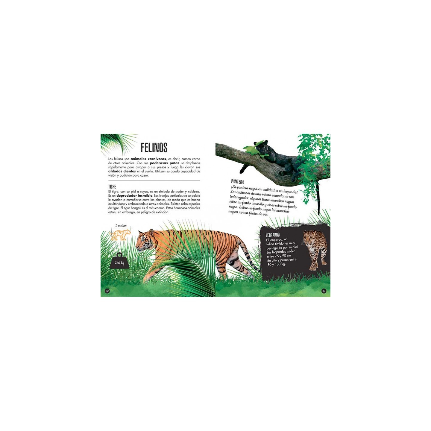 Construye un Elefante 3D + Libro