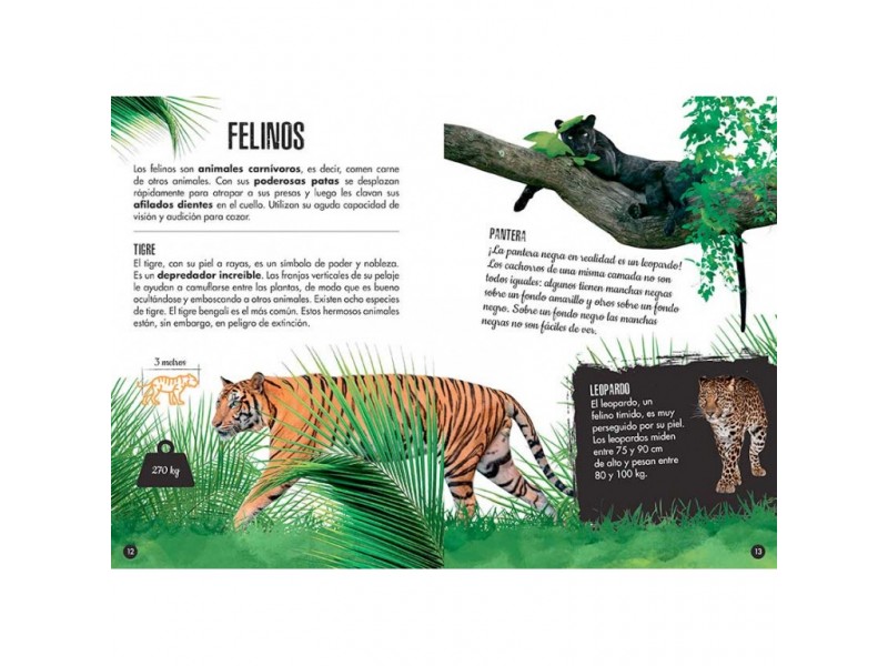 Construye un Elefante 3D + Libro