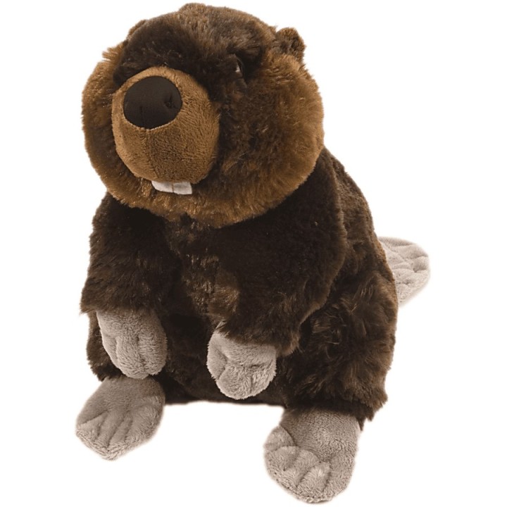 Peluche Castor