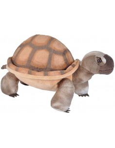 Peluche Tortuga de Desierto