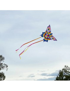 Cometa Mariposa 2