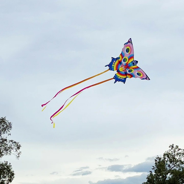 Cometa Mariposa