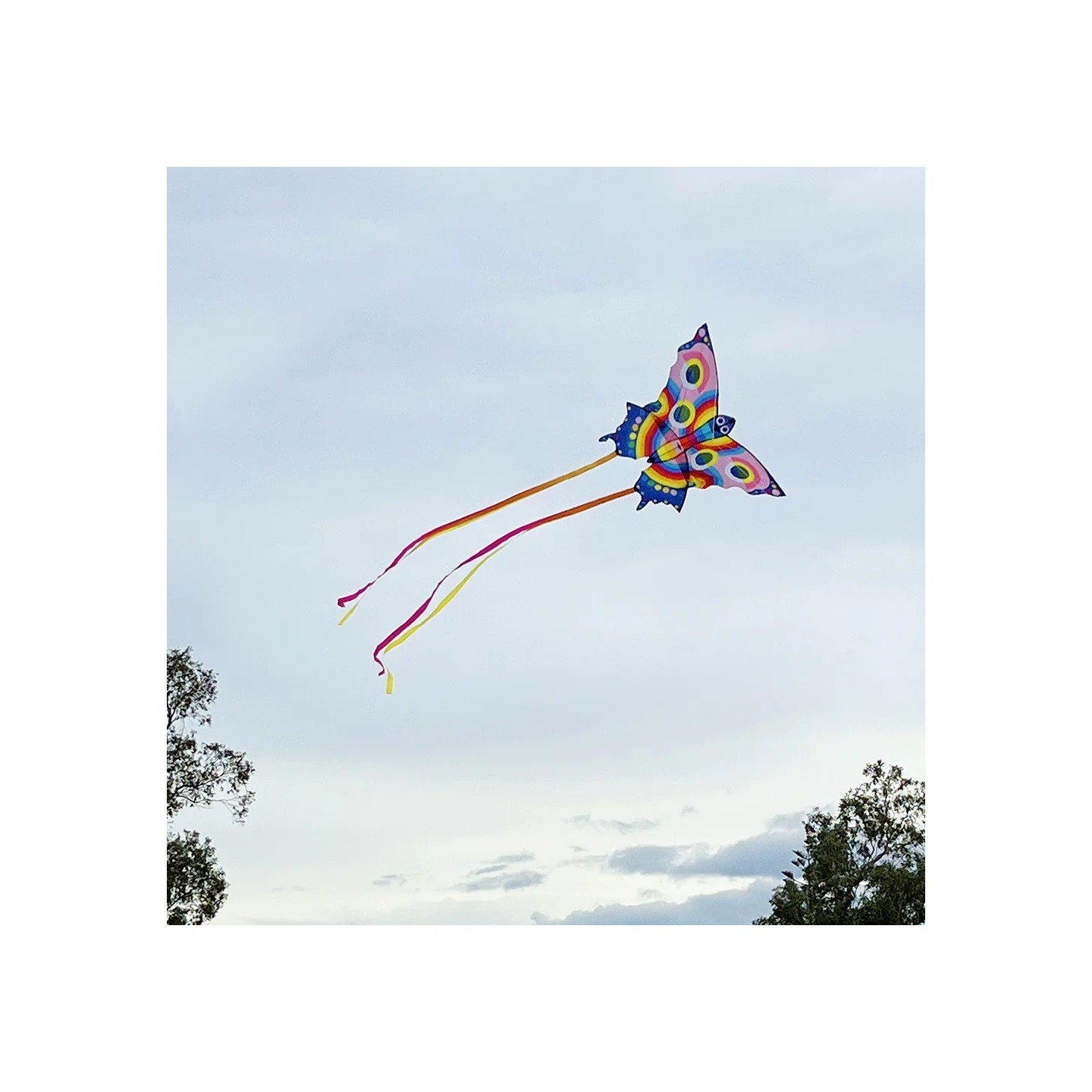 Cometa Mariposa