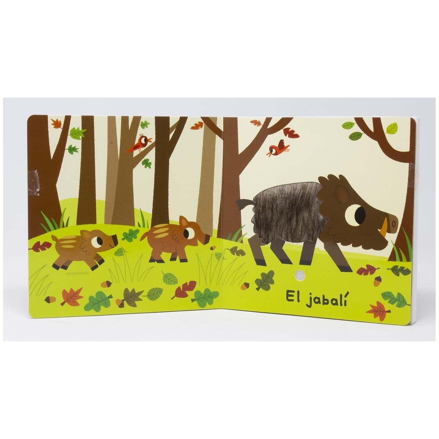 Toca y escucha - El bosque