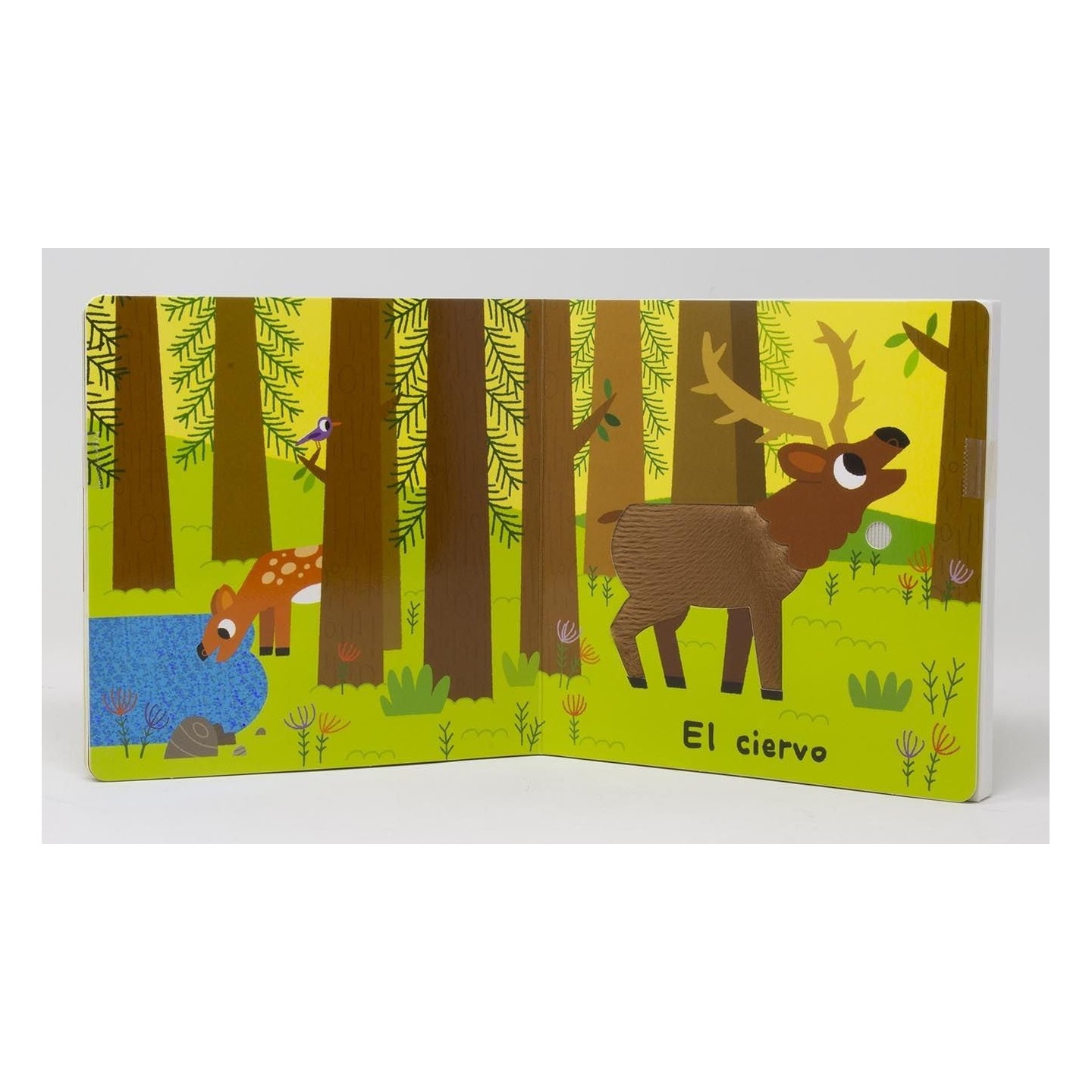 Toca y escucha - El bosque