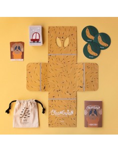 Orangutan 2