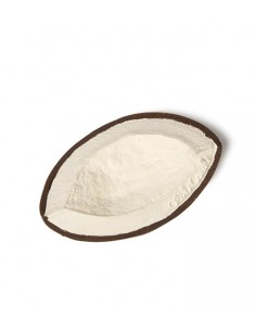 Mordedor Coco El Coco 2