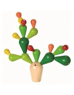 Cactus Equilibrio