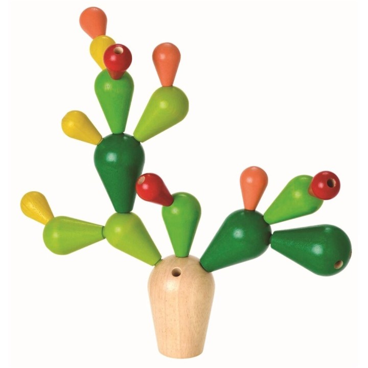 Cactus Equilibrio