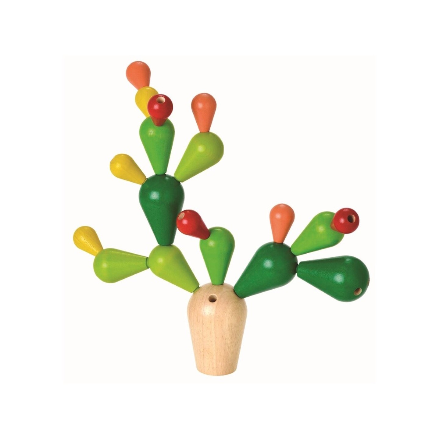 Cactus Equilibrio
