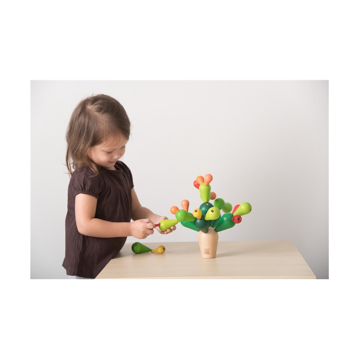 Cactus Equilibrio