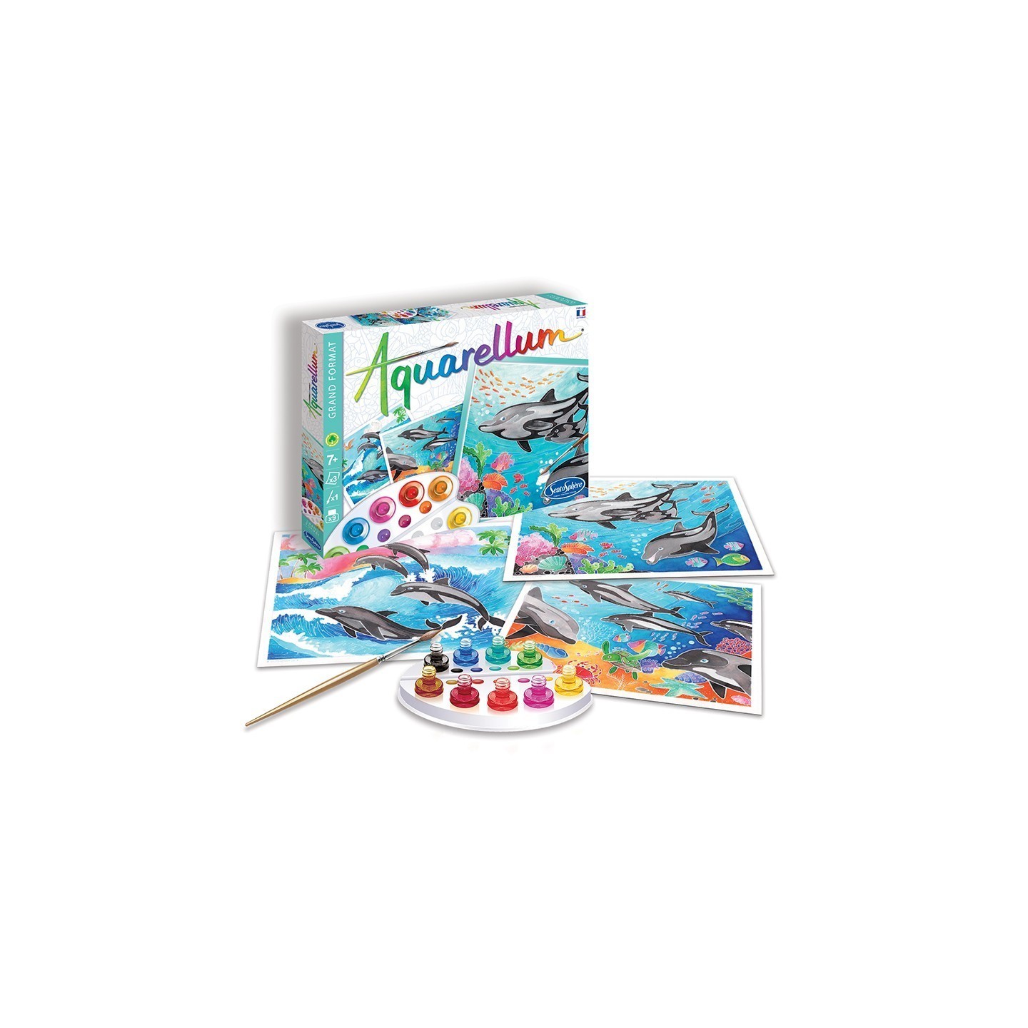 Aquarellum - Delfines