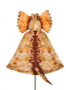 Capa Dilophosaurus 4-7 Años 2