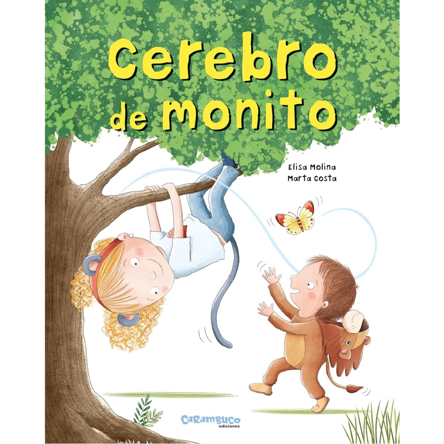 Cerebro de monito
