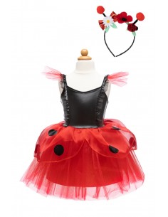 Disfraz y Diadema Mariquita 2