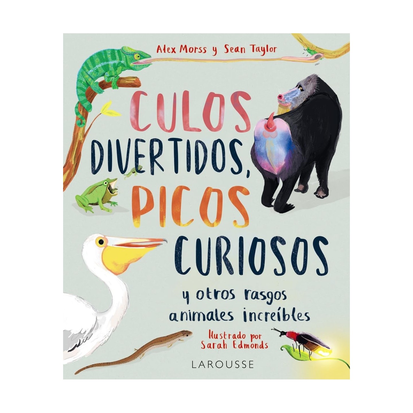 Culos divertidos, picos curiosos