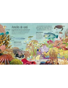 La vida secreta de los océanos 2