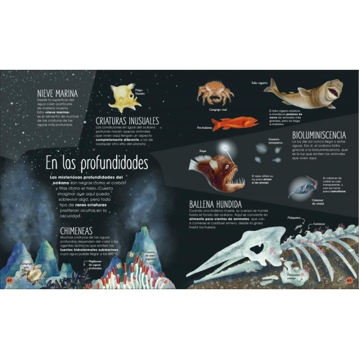 La vida secreta de los océanos